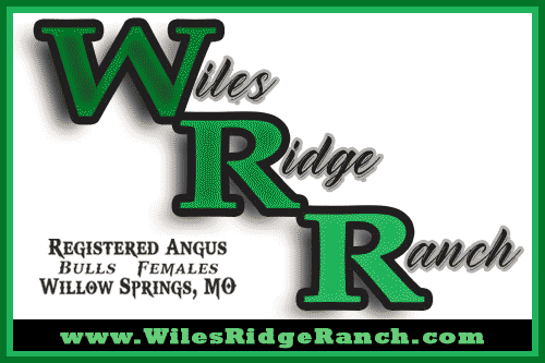 Wiles Ridge Ranch
